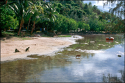 French Polynesia 05